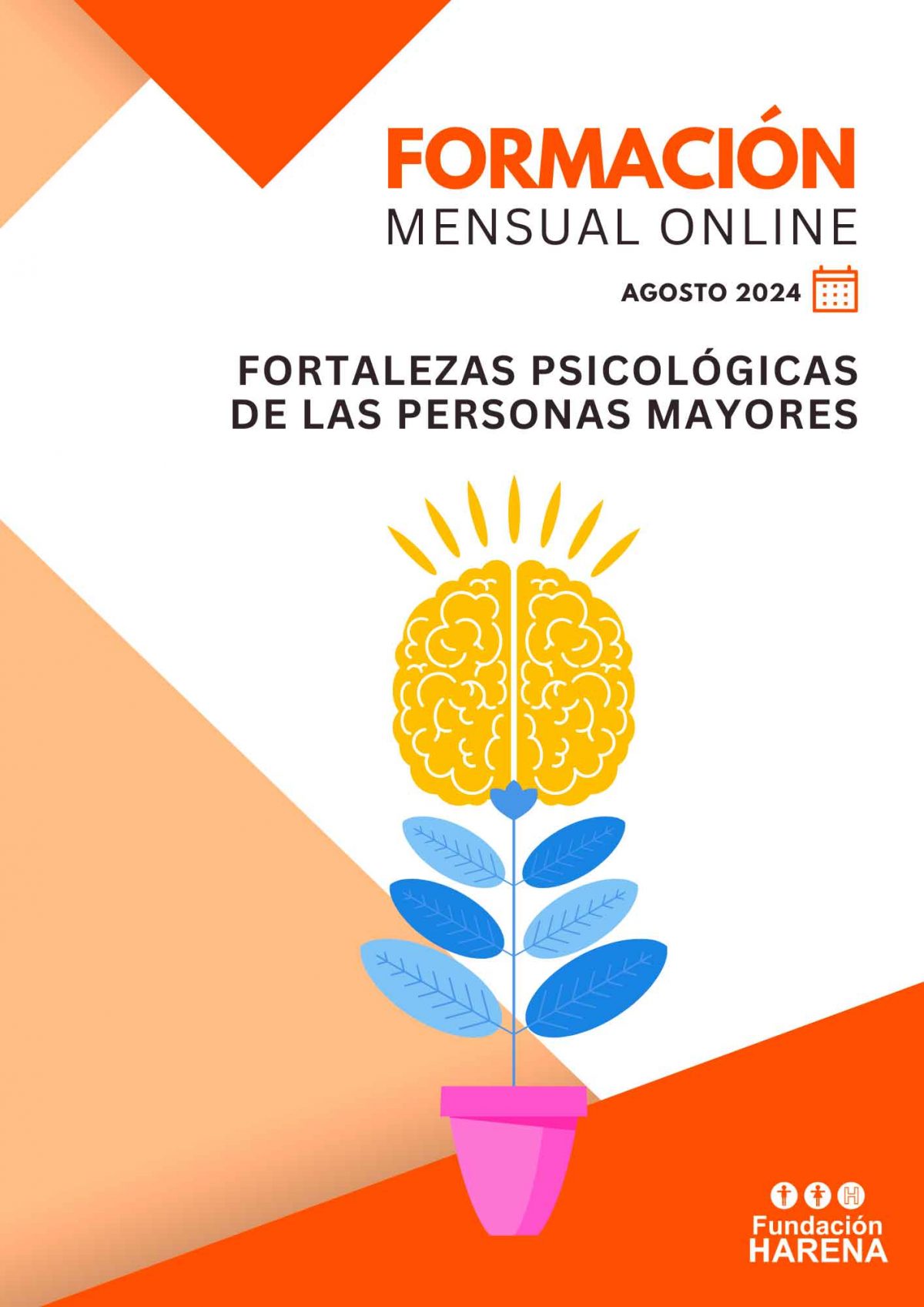 miniatura del curso